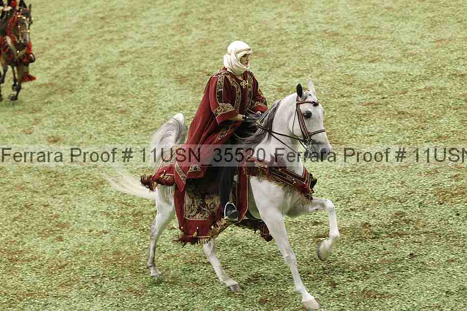 Proof 11usn_35520