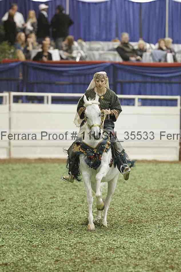 Proof 11usn_35533