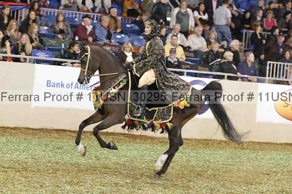 Proof 11usn_30295