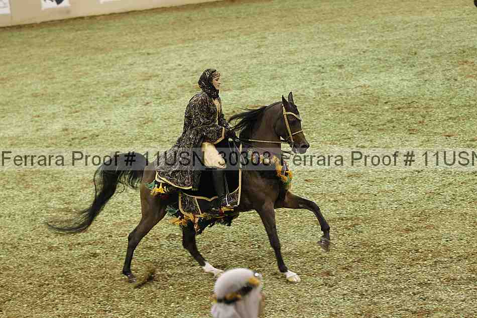 Proof 11usn_30308
