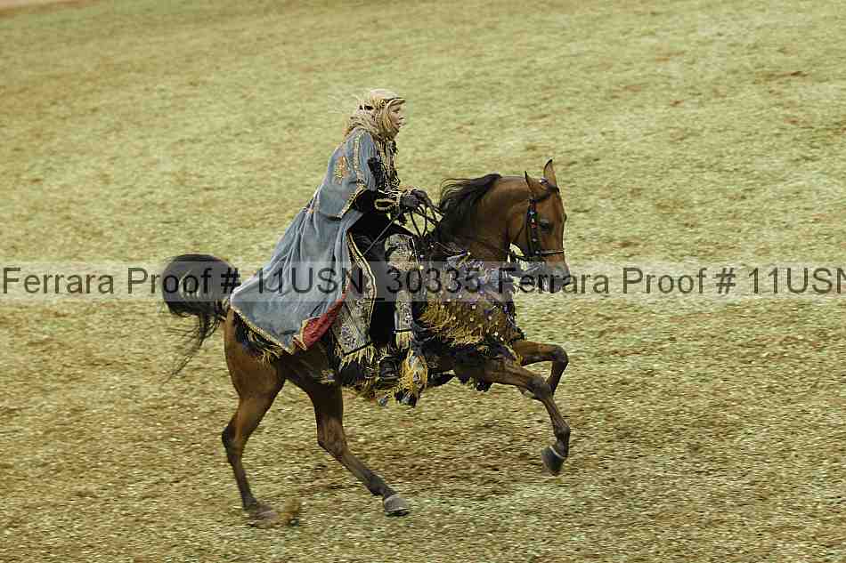 Proof 11usn_30335
