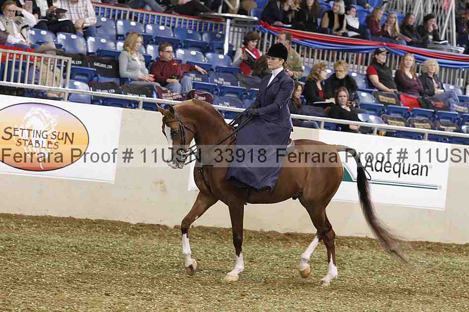 Proof 11usn_33918