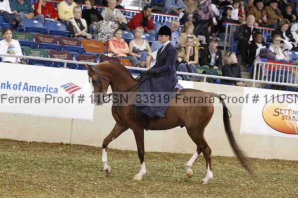 Proof 11usn_33919
