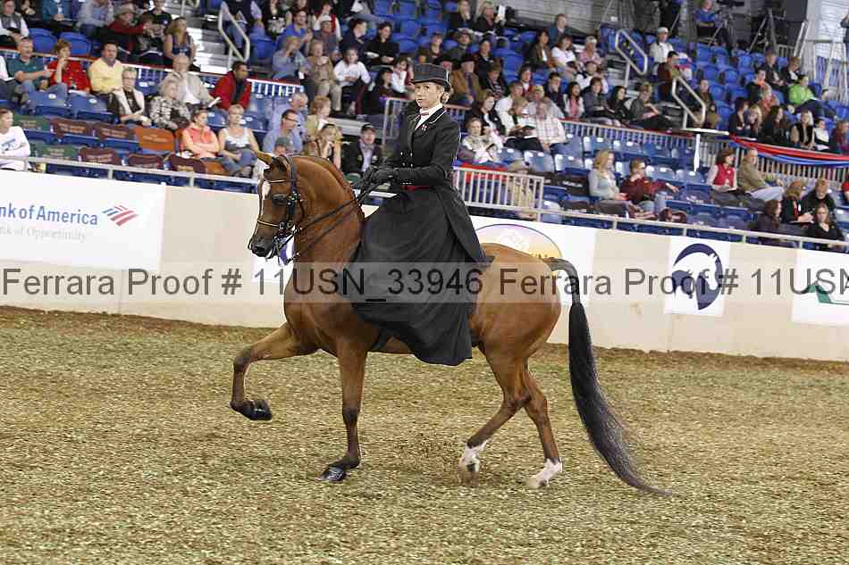 Proof 11usn_33946