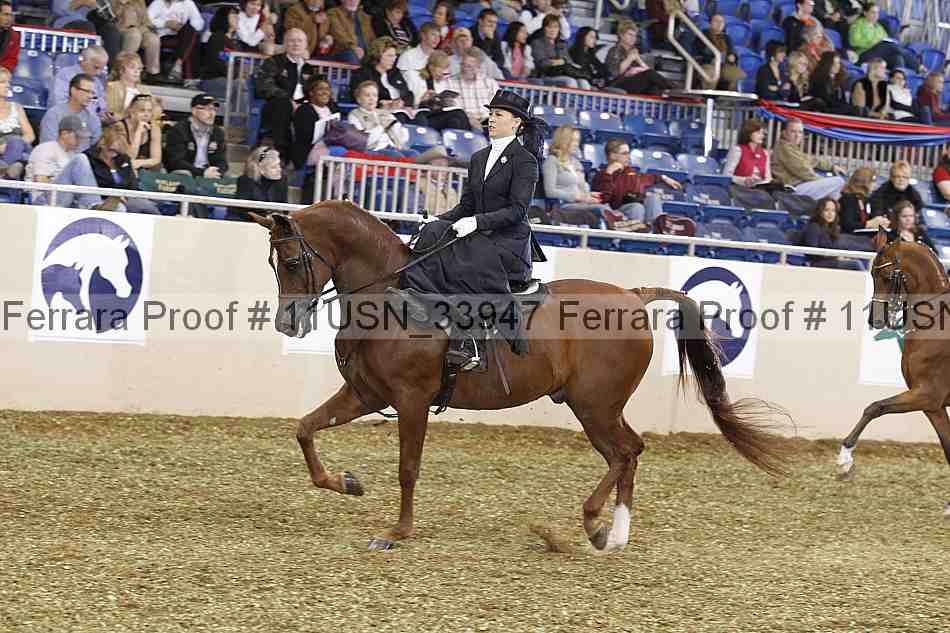 Proof 11usn_33947