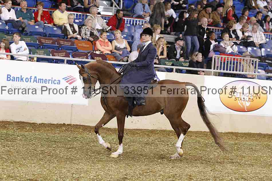 Proof 11usn_33951