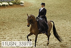 11usn_33979 proof