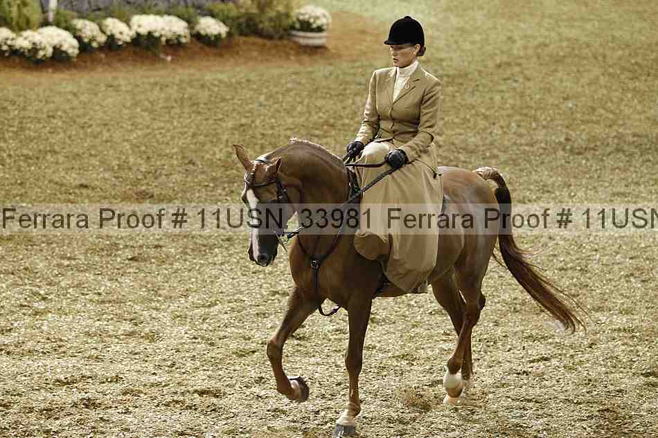 Proof 11usn_33981