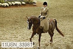 11usn_33981 proof