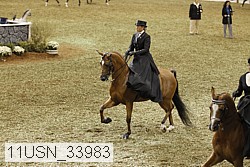 11usn_33983 proof