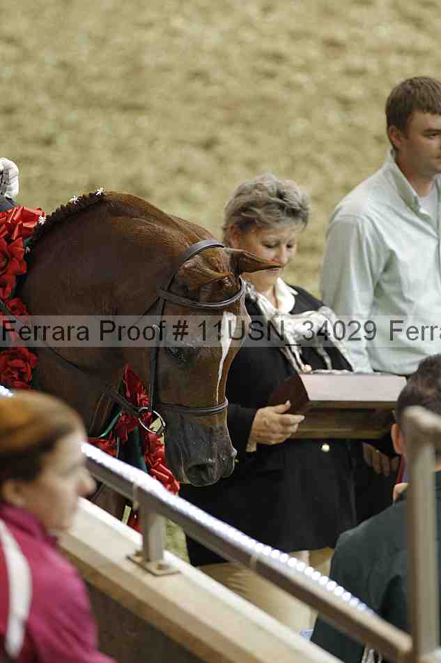 Proof 11usn_34029