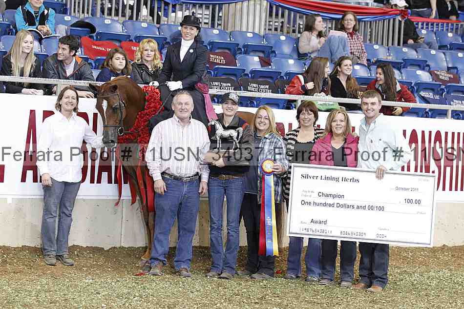 Proof 11usn_34037