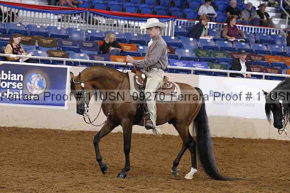 Proof 11usn_09270