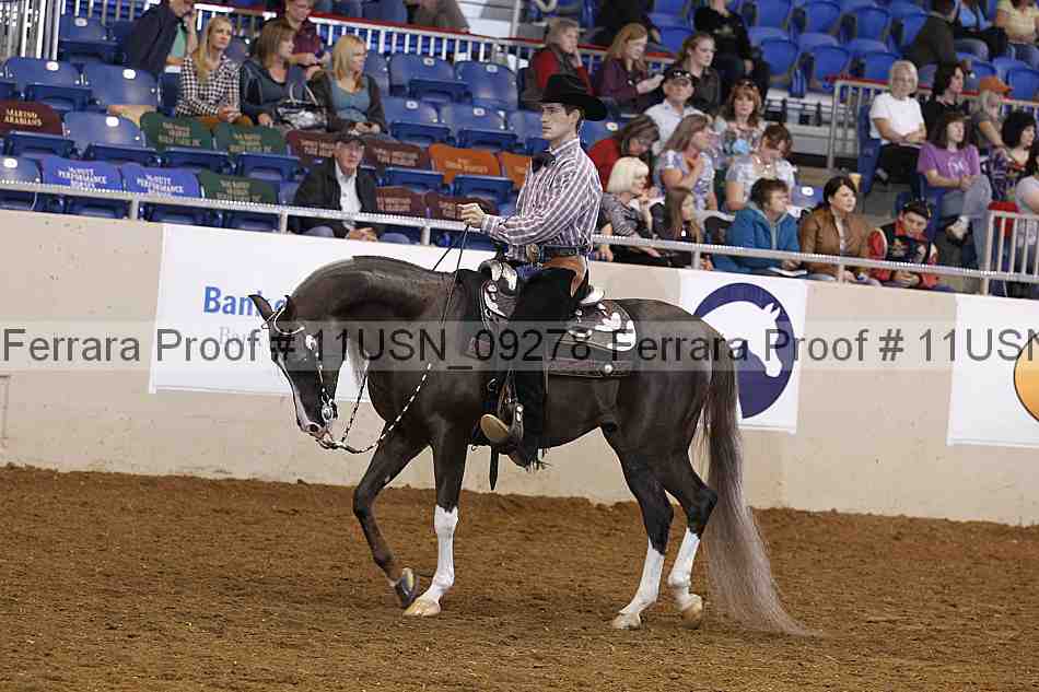 Proof 11usn_09278