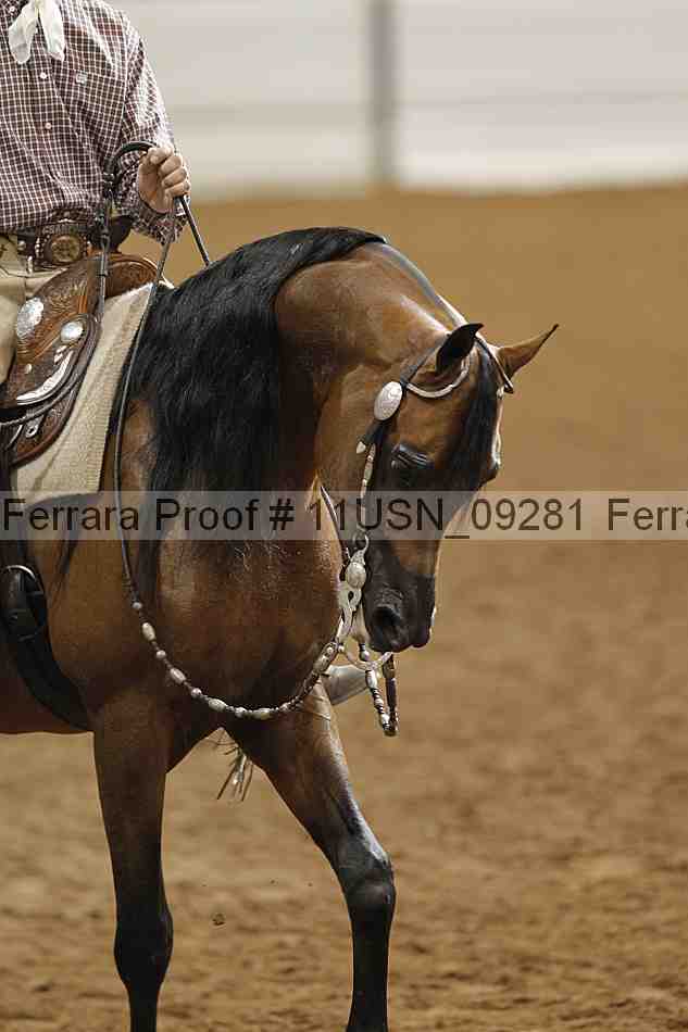 Proof 11usn_09281