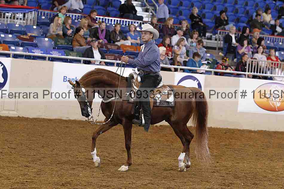 Proof 11usn_09333