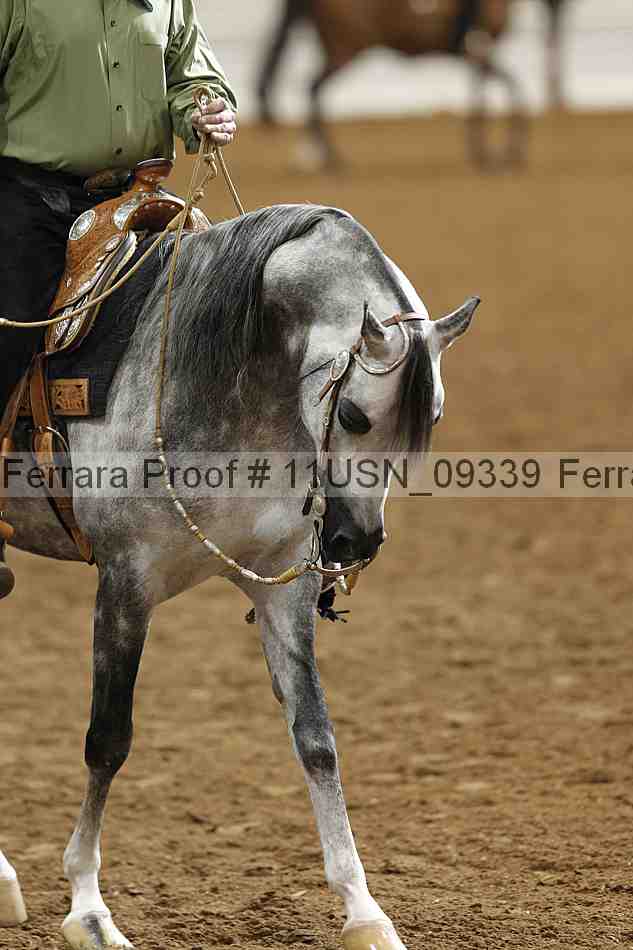 Proof 11usn_09339