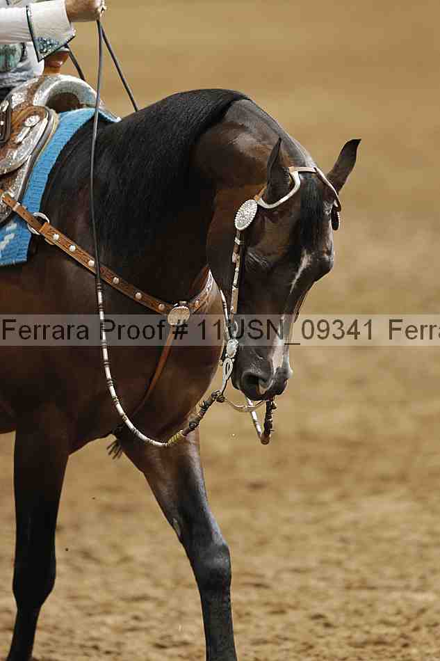 Proof 11usn_09341