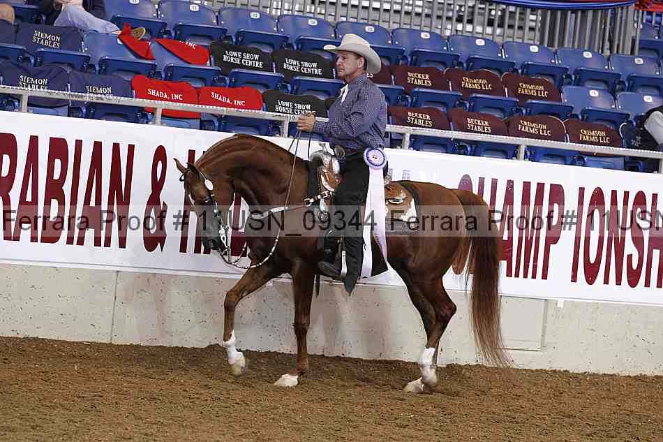 Proof 11usn_09344