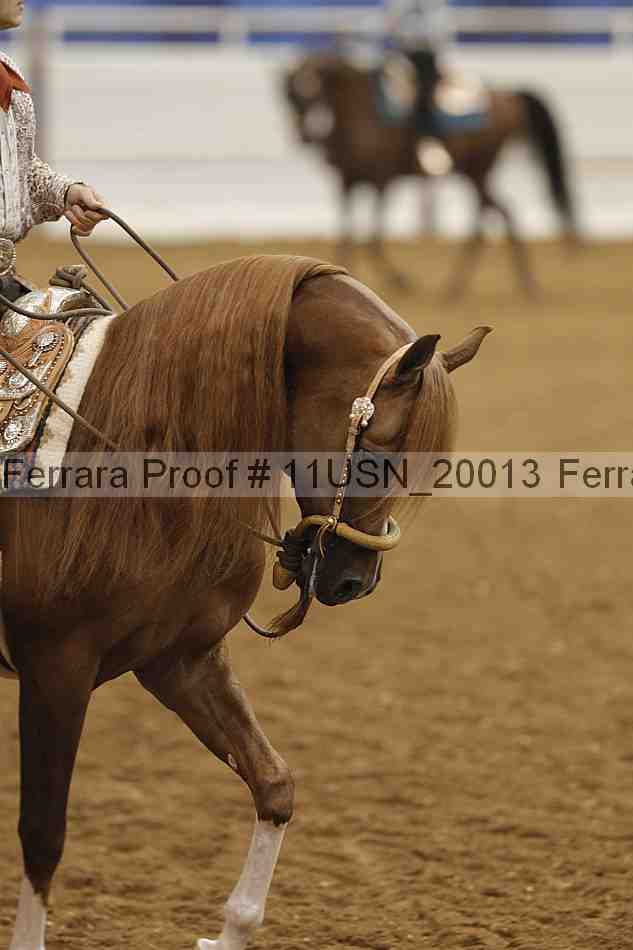 Proof 11usn_20013