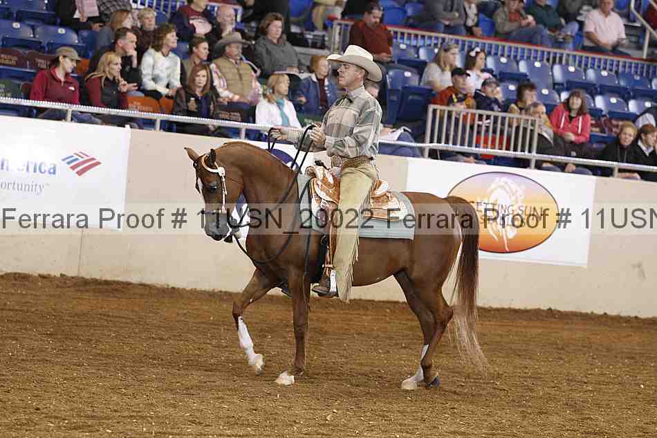 Proof 11usn_20022