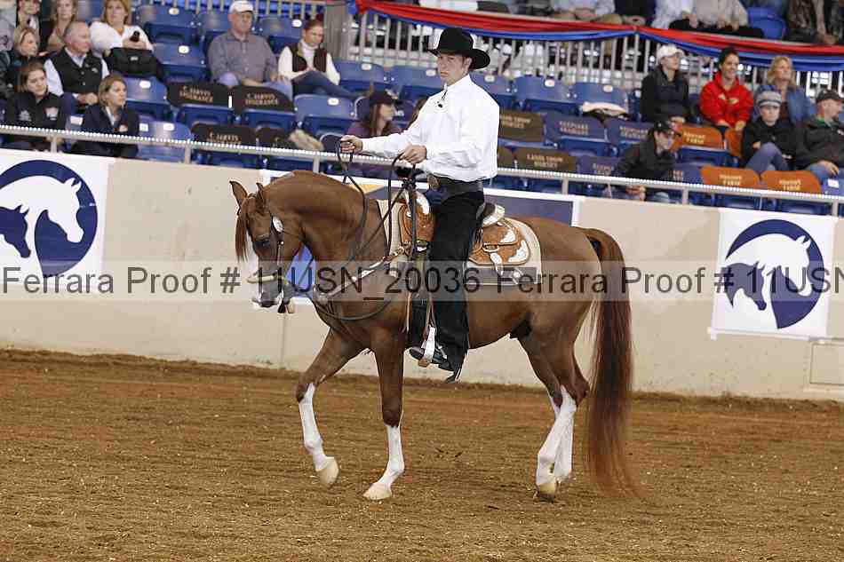 Proof 11usn_20036