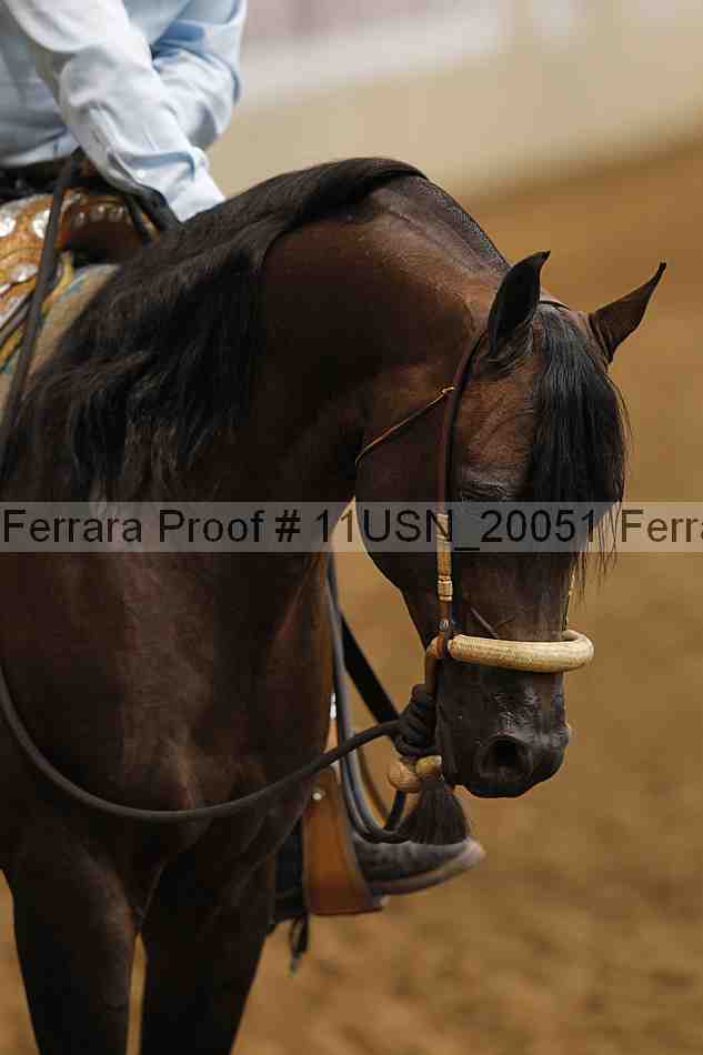 Proof 11usn_20051