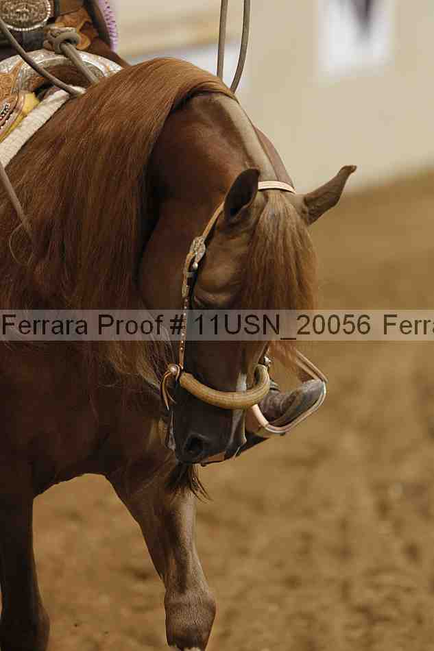 Proof 11usn_20056