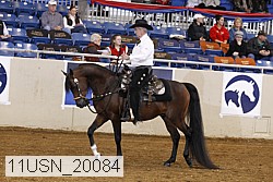 11usn_20084 proof