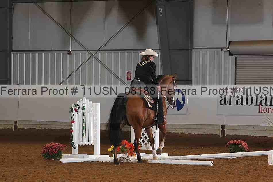 Proof 11usn_08188