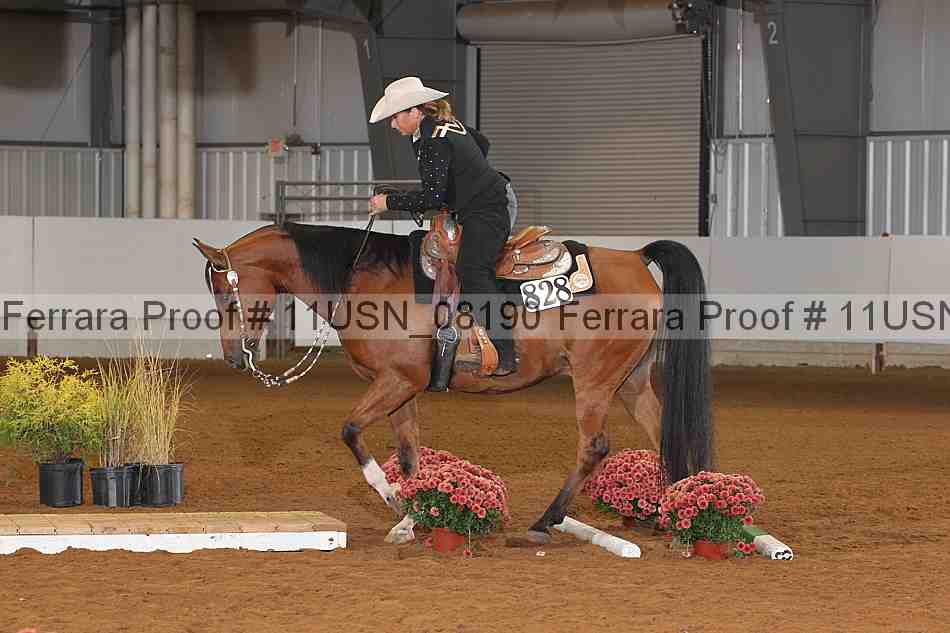 Proof 11usn_08190