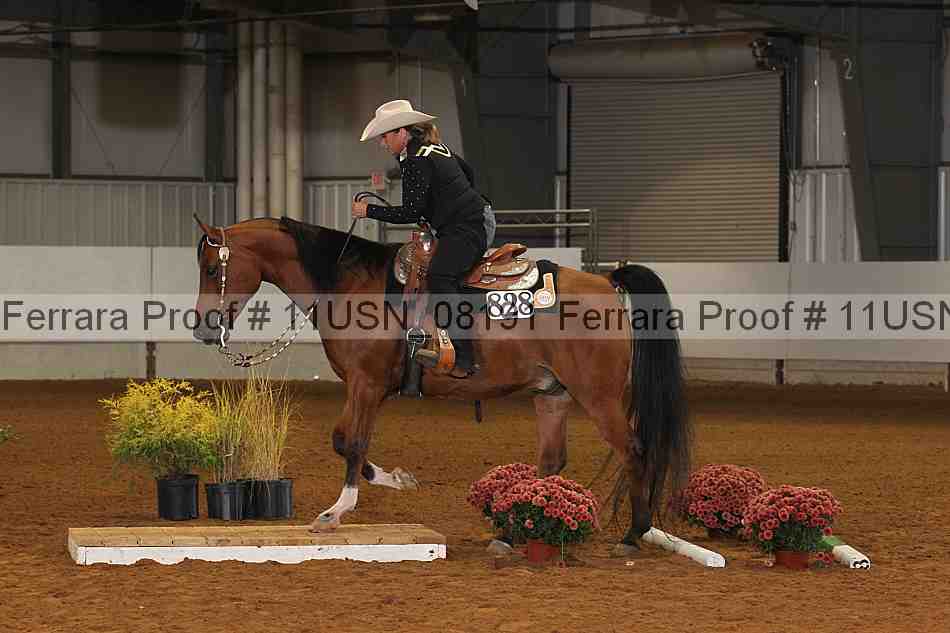 Proof 11usn_08191