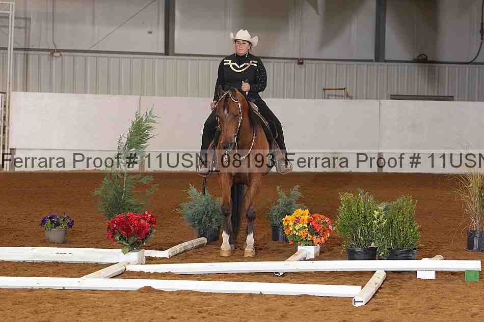 Proof 11usn_08193