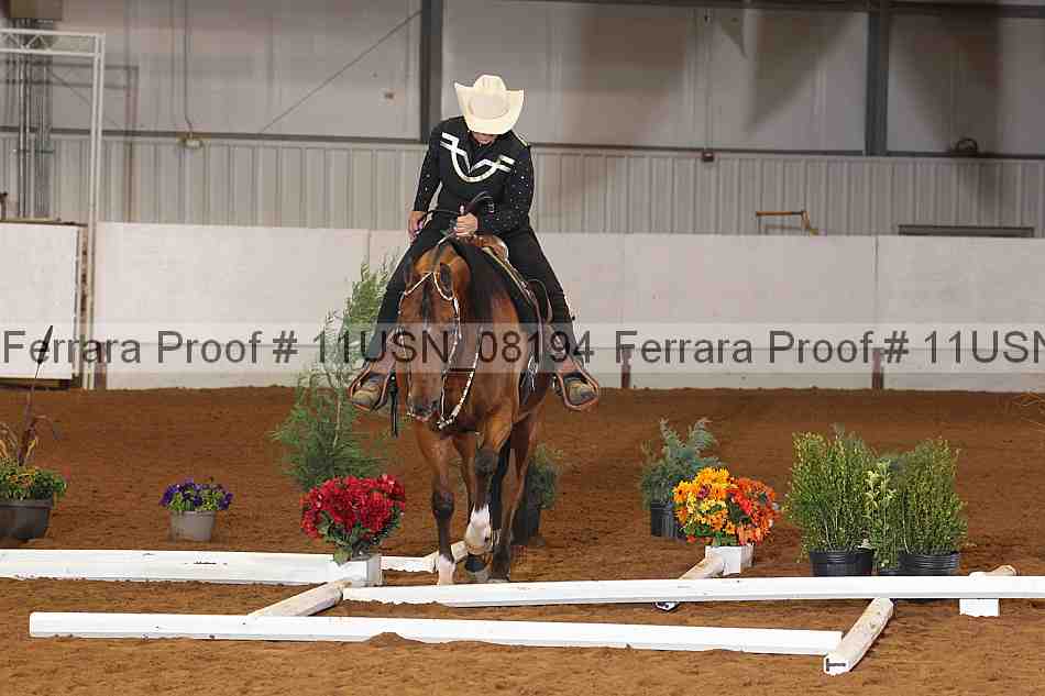 Proof 11usn_08194