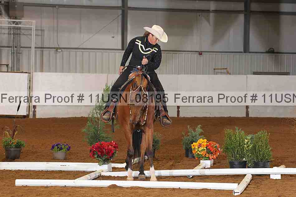Proof 11usn_08195
