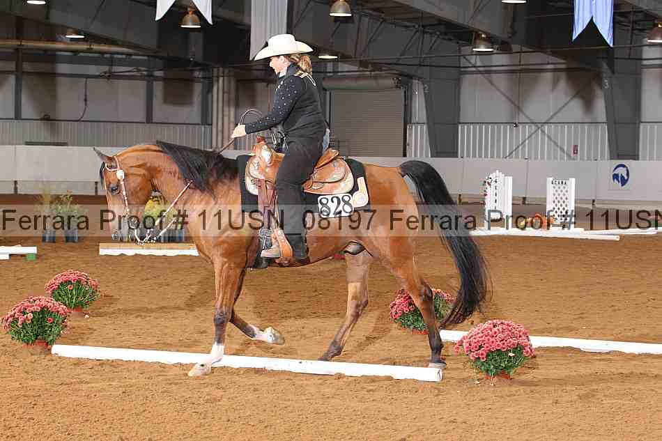 Proof 11usn_08197