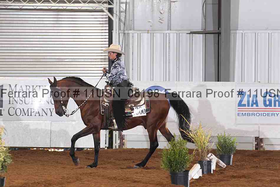 Proof 11usn_08198