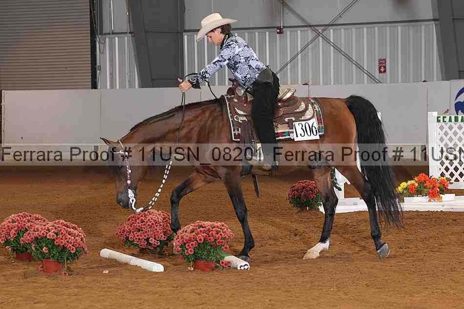 Proof 11usn_08201