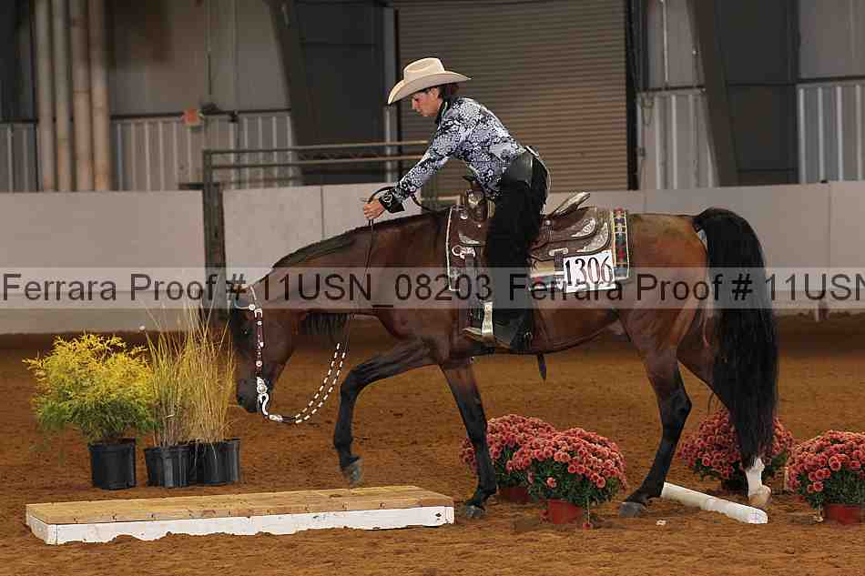 Proof 11usn_08203
