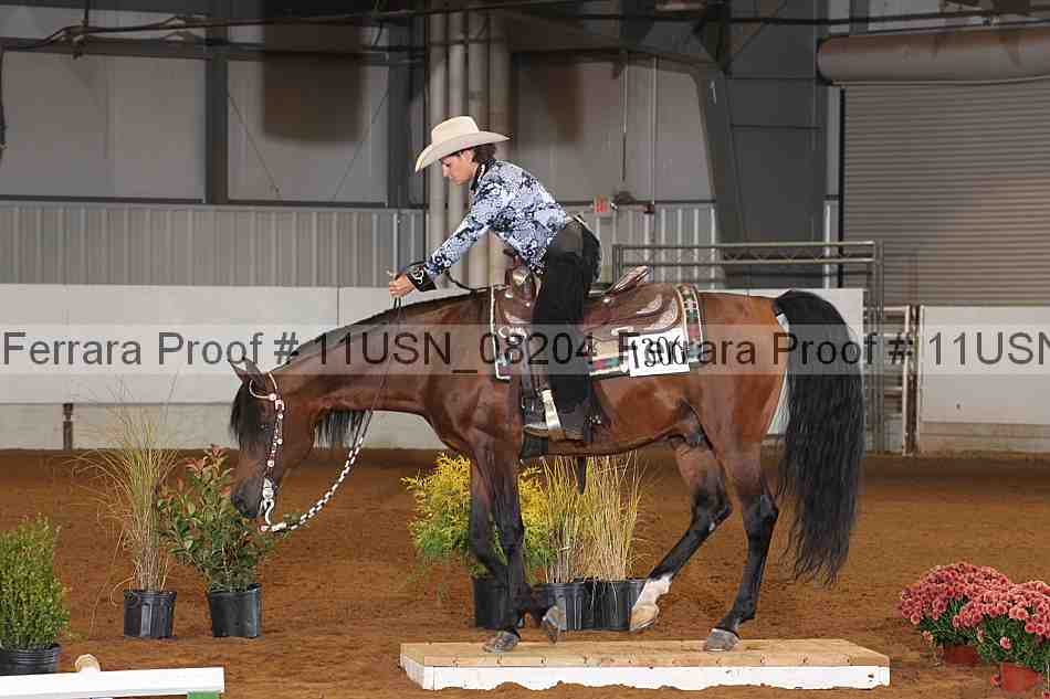Proof 11usn_08204