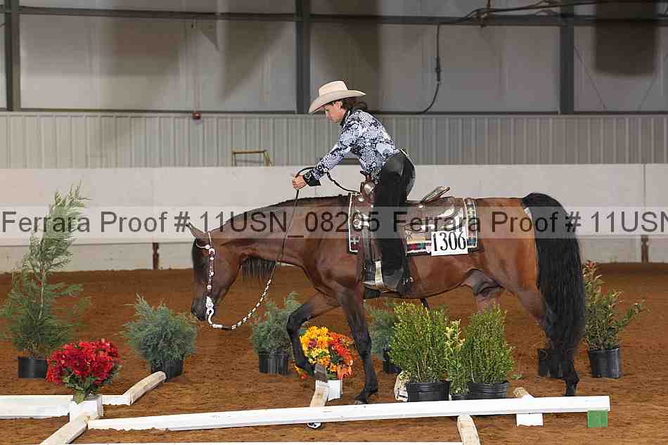 Proof 11usn_08205