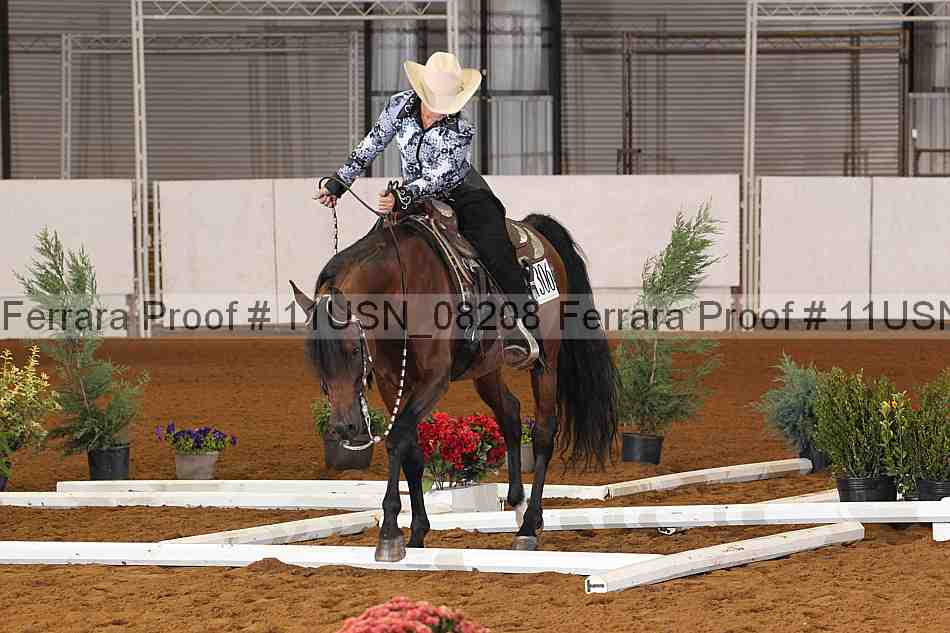 Proof 11usn_08208