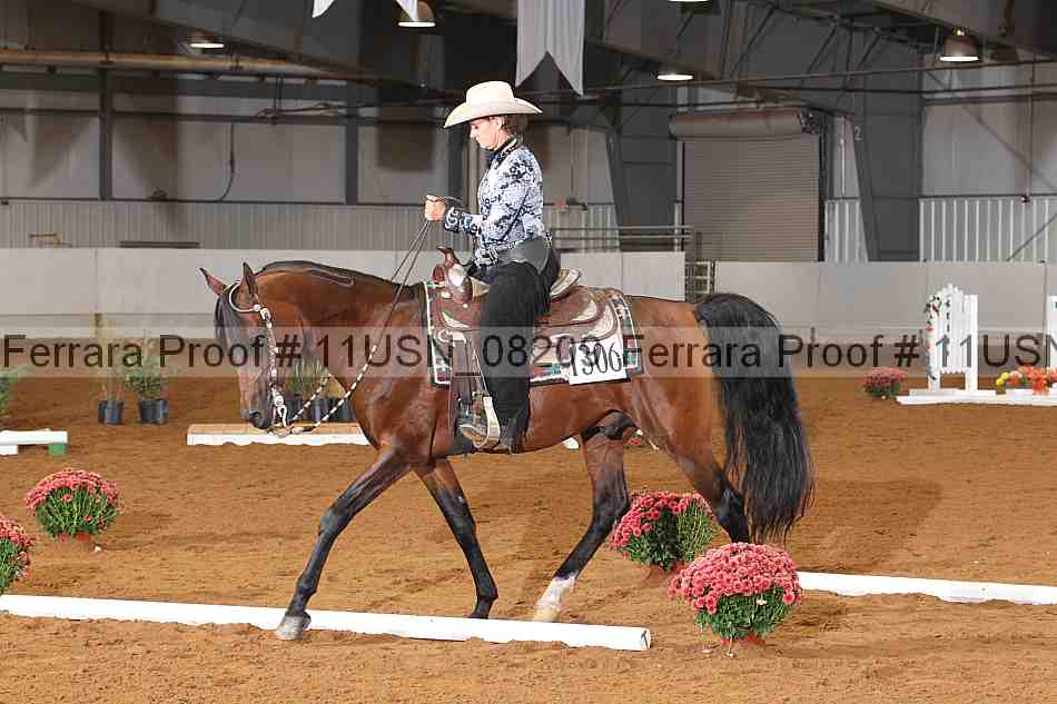 Proof 11usn_08209