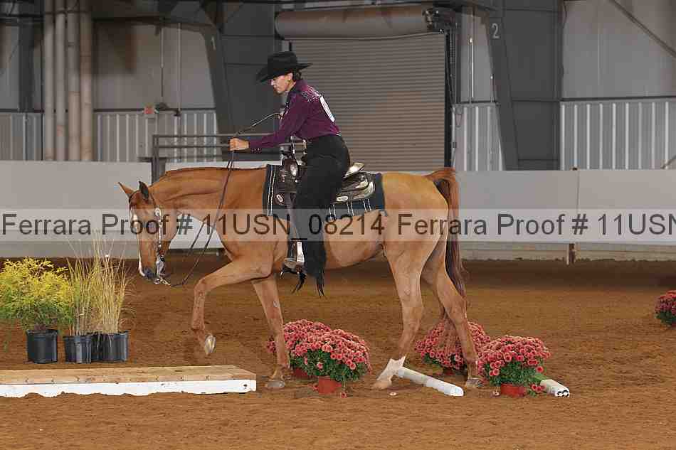 Proof 11usn_08214