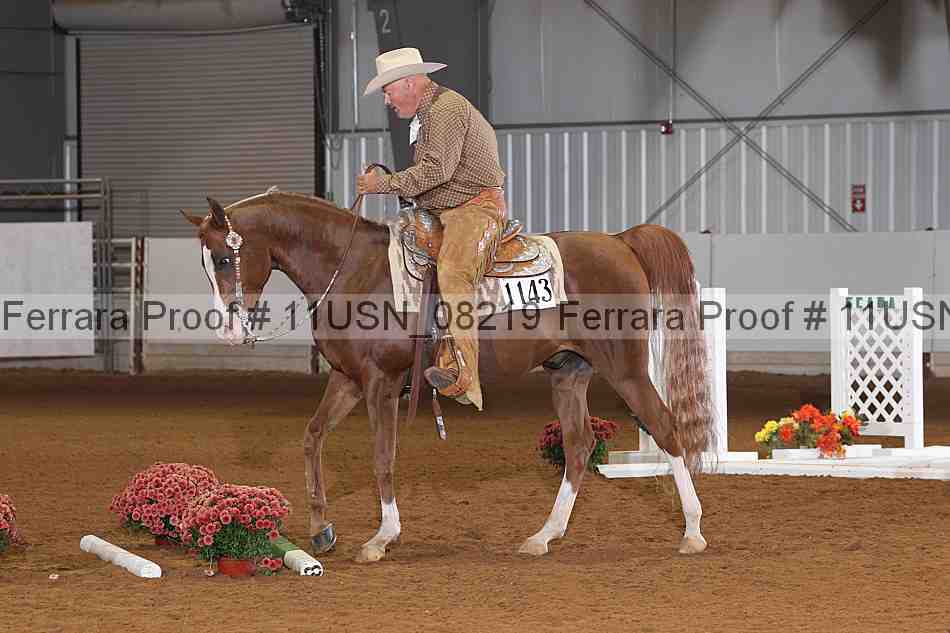 Proof 11usn_08219