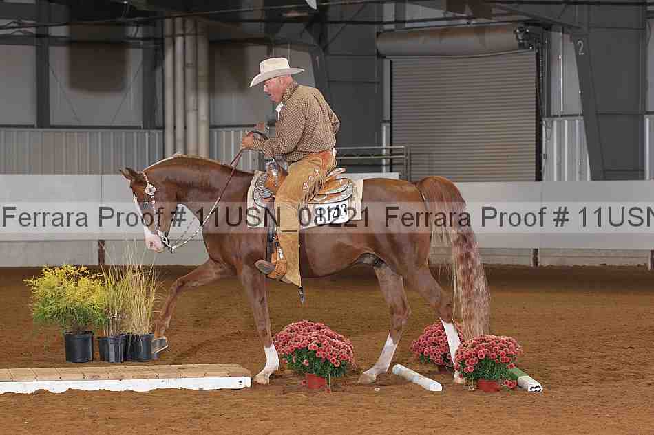 Proof 11usn_08221