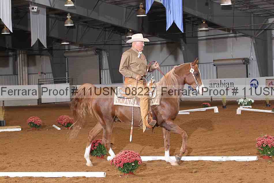 Proof 11usn_08227