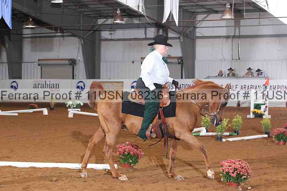 Proof 11usn_08236