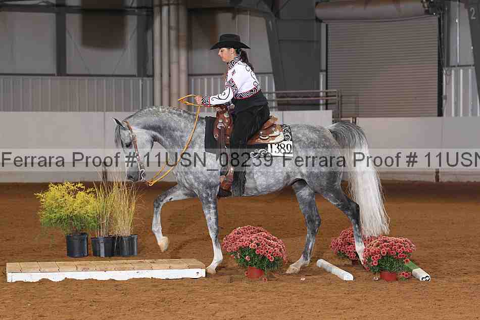 Proof 11usn_08239