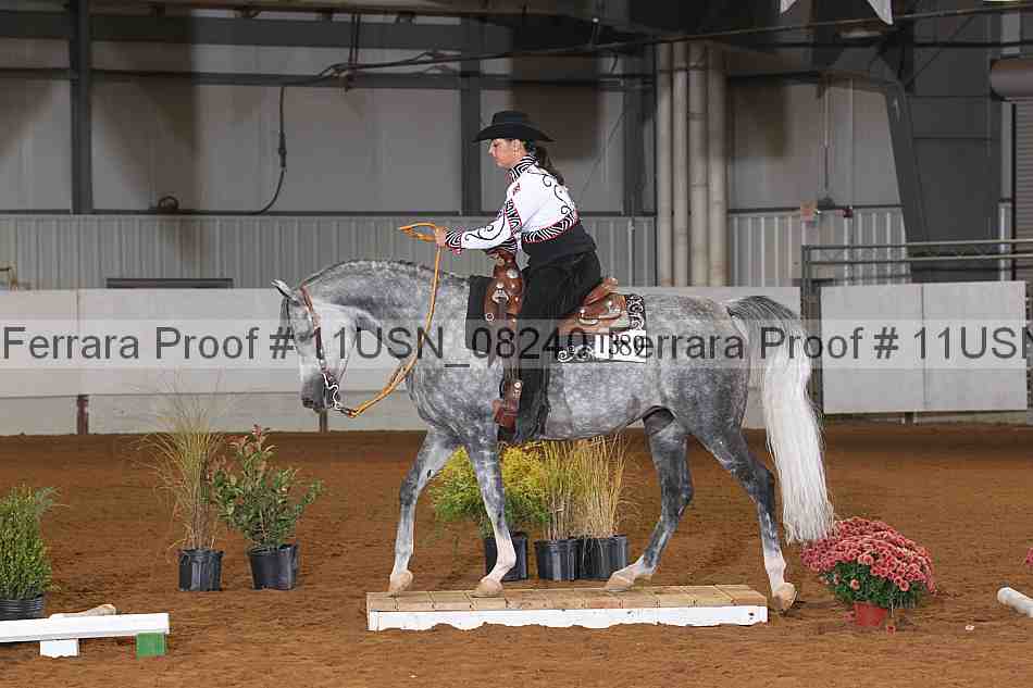 Proof 11usn_08240